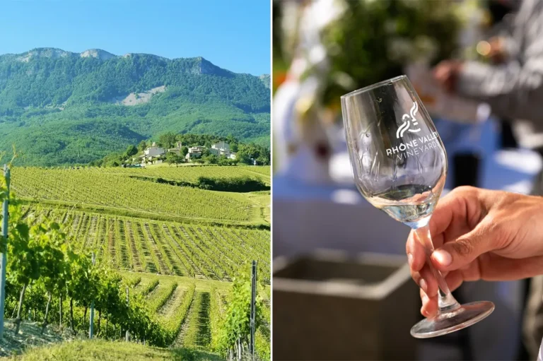 Rhône in White