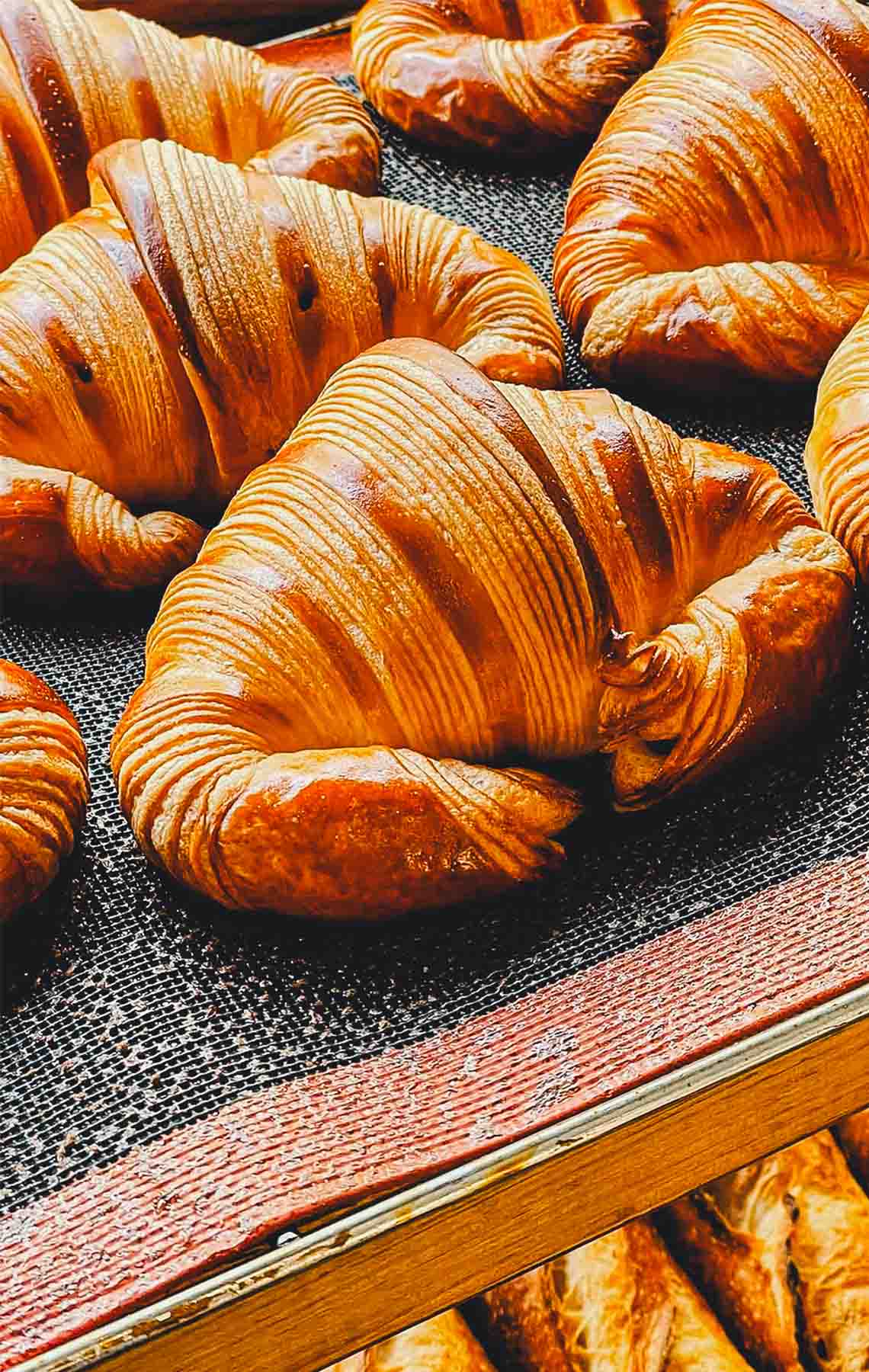 Romane-Boulangerie-1