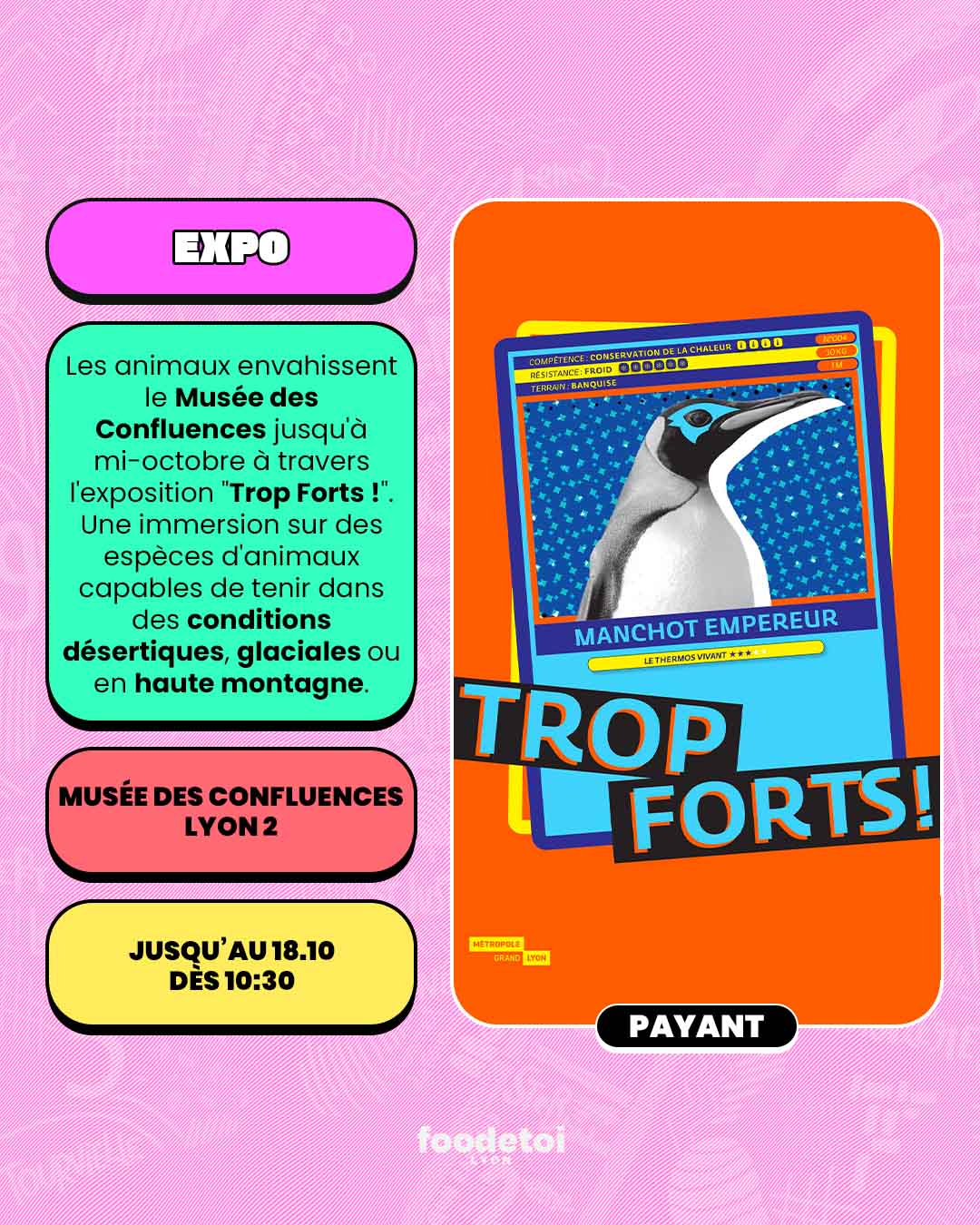 Que faire à Lyon ce week-end ?