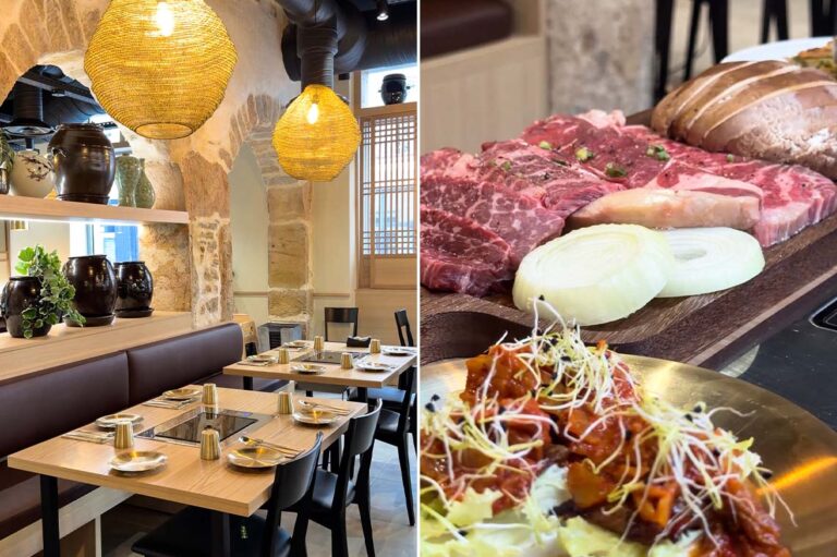 Hanuri - Restaurant coréen - Lyon 6